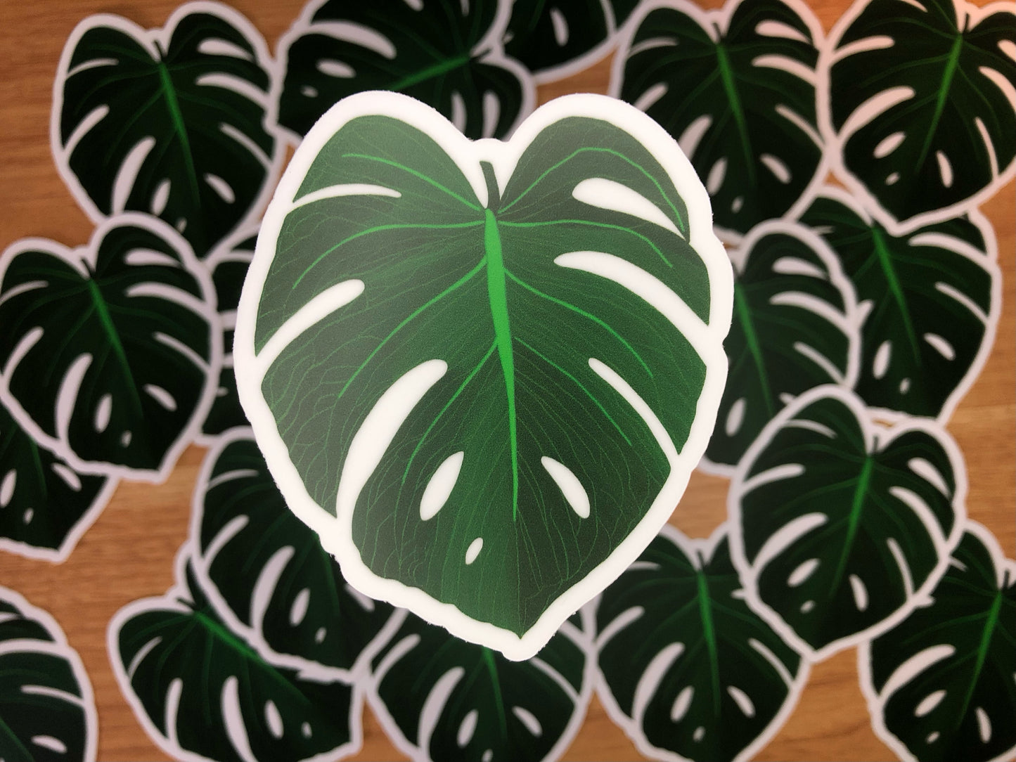 Mostera Leaf Sticker