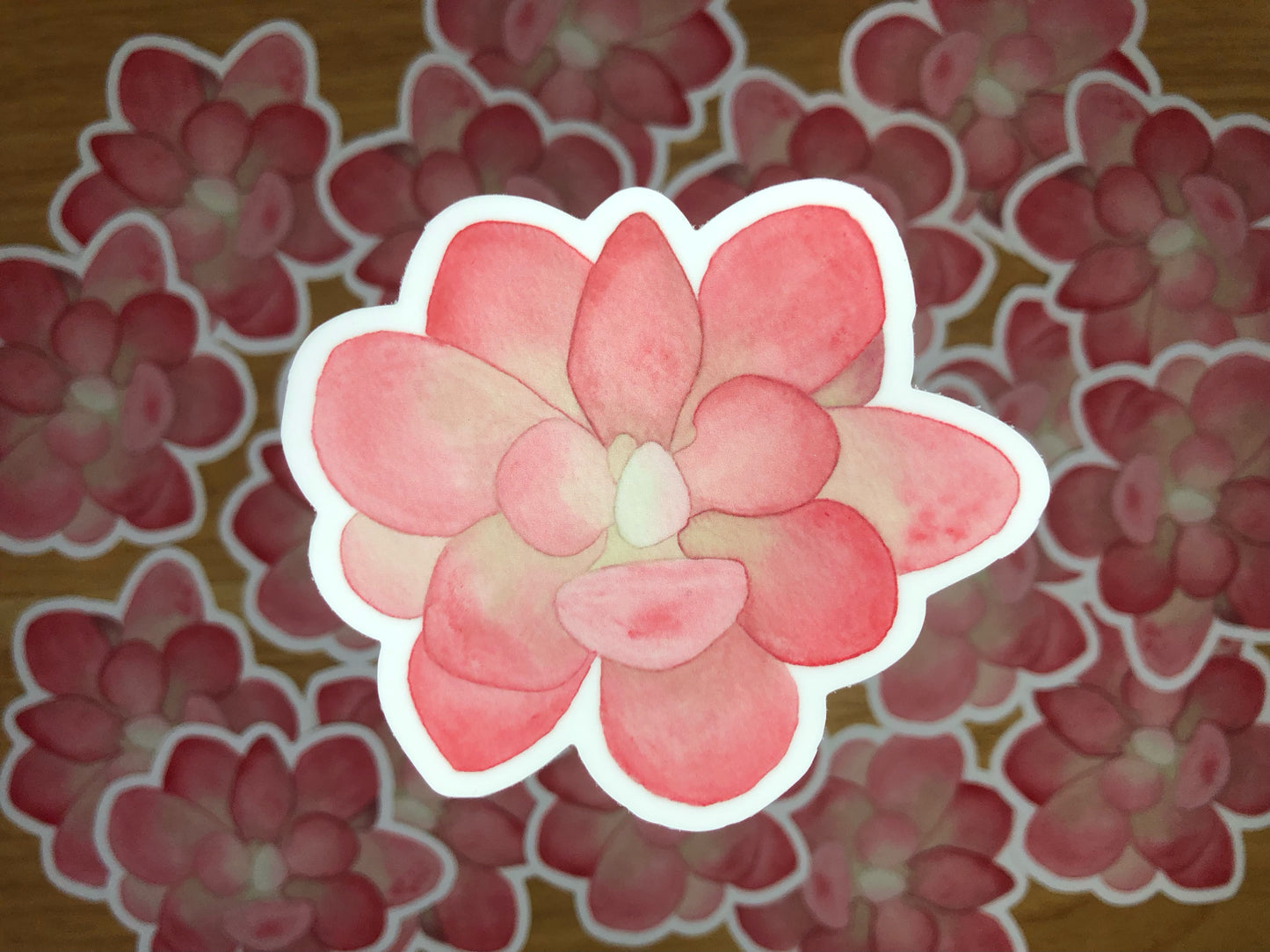 Succulent Sticker