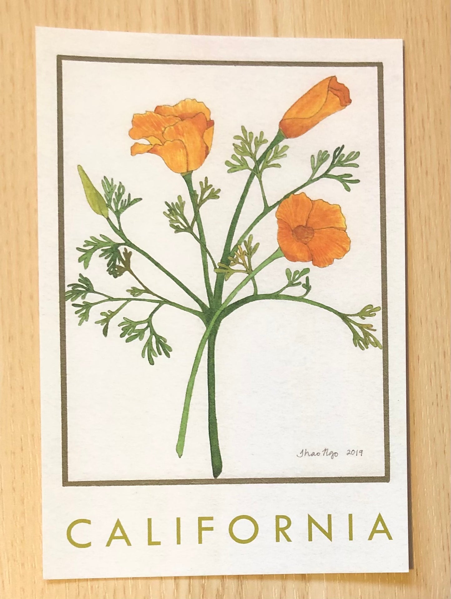 CA Poppy Postcard